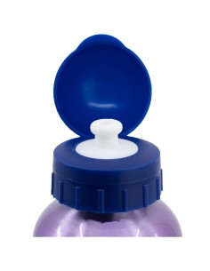 Bottiglia in alluminio 530ml Frozen Ice Magic | Diamante Rosa 2