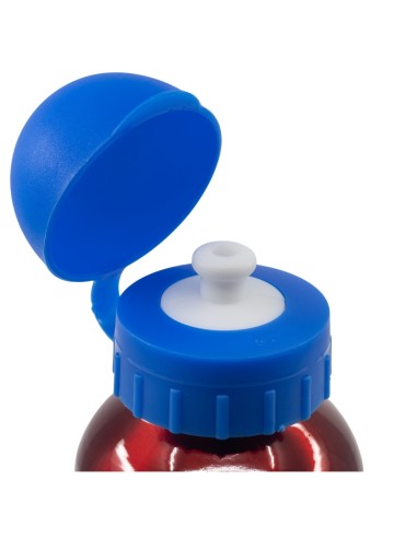 Bottiglia in alluminio 520ml Spiderman Street | Diamante Rosa ml