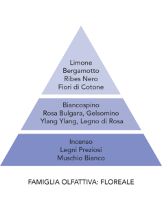 Profumatore per auto Teodoro Nuvola di cotone Mami Milano 2