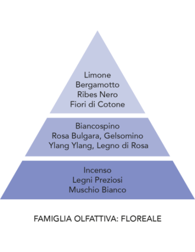 Profumatore per auto Teodoro Nuvola di cotone Mami Milano