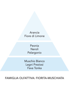 BREZZA - Molecola 250 ml 2