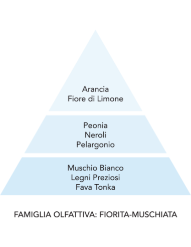 BREZZA - Molecola 250 ml