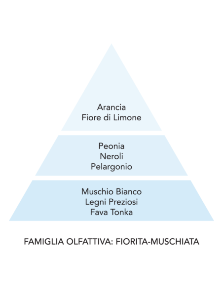 BREZZA - Molecola 250 ml