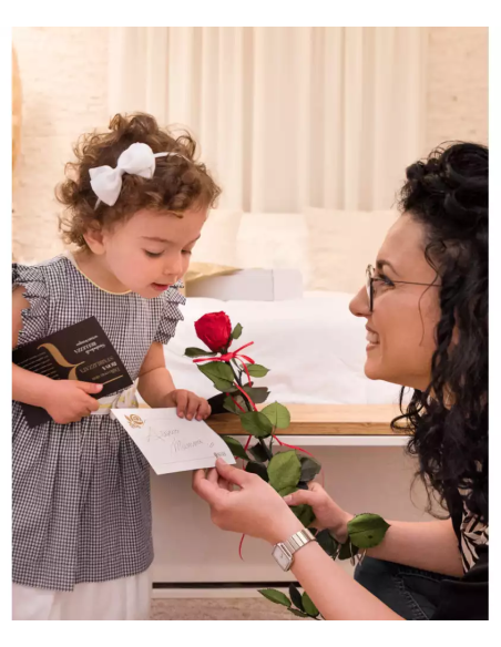 Rosa Rossa Stabilizzata