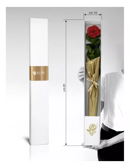 Rosa Rossa Stabilizzata