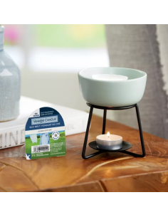 Clean Cotton Wax Melt 2