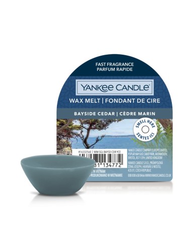 Yankee Candle BAYSIDE CEDAR Cera da fondere 22gr Wax Melt