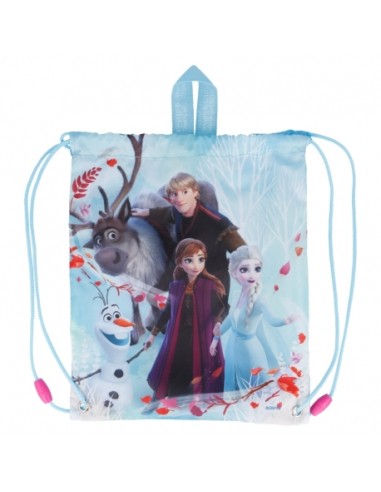 Borsa sportiva 25x30cm FROZEN