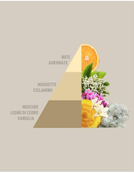 Horotwins GOLD ARGAN - Essenza bucato e Spray Horomia