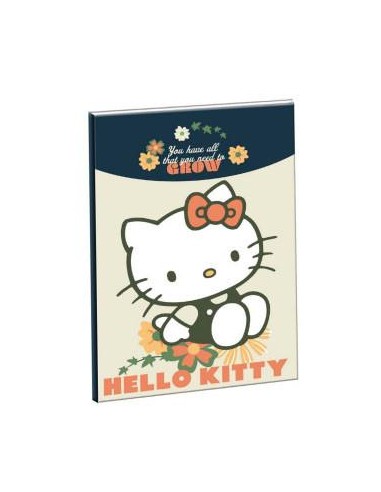 Quaderno a righe Hello Kitty B/5 40 pagine