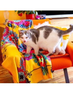 Coperta Plaid DAHLIA – Comfort e Stile per Ogni Momento! 2