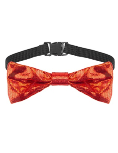 Papillon natalizio per animali 2