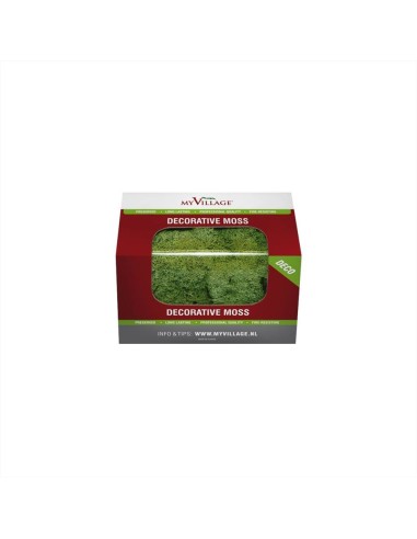 Muschio Lichene Verde 50g My Village MYD30 - Decorazione per Cespugli 