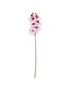 Ramo orchidea maculato rosa h58cm - Diamante Rosa
