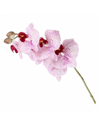 Ramo orchidea maculato rosa h58cm - Diamante Rosa