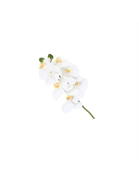 Orchidea bianca real touch S Veronica 
