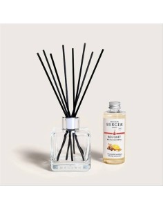 ORANGE DE CANNELLE - Diffusore a bastoncini BOUQUET 100ml Maison Berge