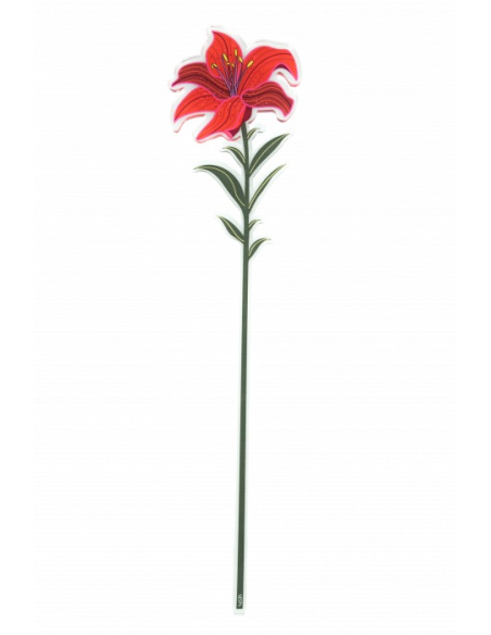 Fiore in Cristallo Acrilico Vesta Funny Flowers - 10 modelli 2 formati