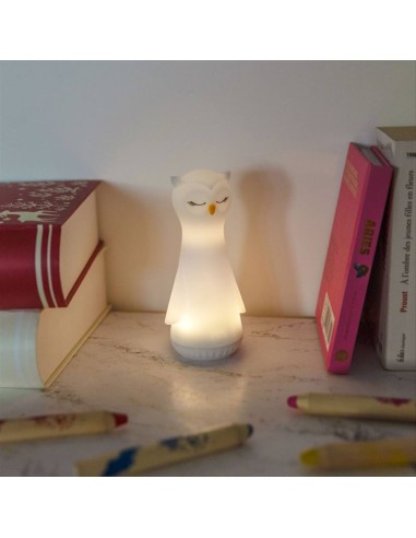 Luce Notturna e Torcia 2 in 1 GUFO 🦉 – Sicurezza e Comfort per Notti 