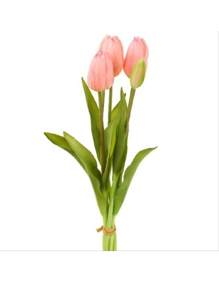 Tulipani S 5 Real Touch Rosso Screziato – Bellezza che Non Sfiorisce! 