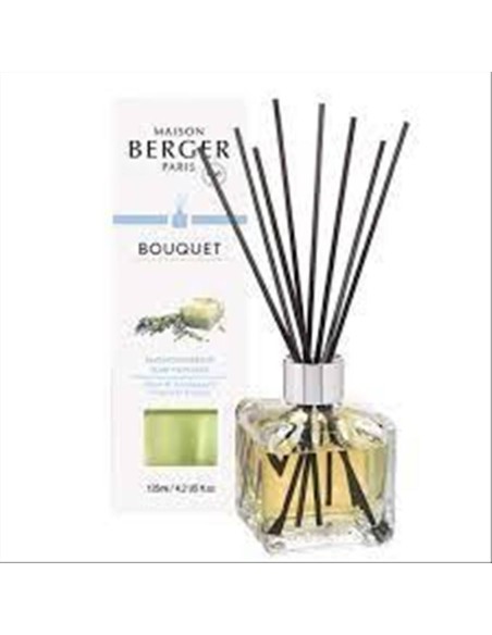 MAISON BERGER Diffusore Bouquet 125ml Savon D'autrefois 