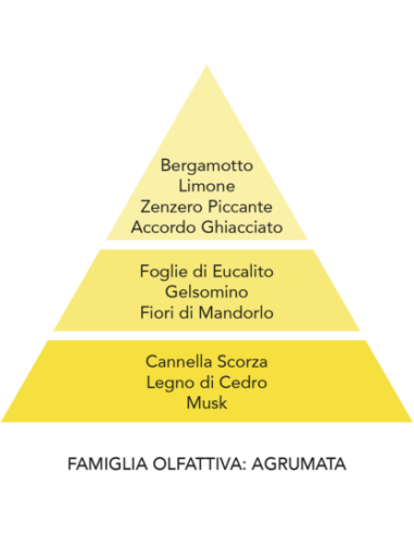Ricarica profumatore per auto Teodoro Ghiaccio e zenzero Mami Milano