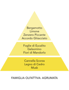 Profumatore per auto Teodoro Ghiaccio e Zenzero Mami Milano 2