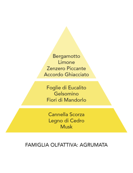 Ricarica profumatore per auto Fortunato Ghiaccio e Zenzero Mami Milano