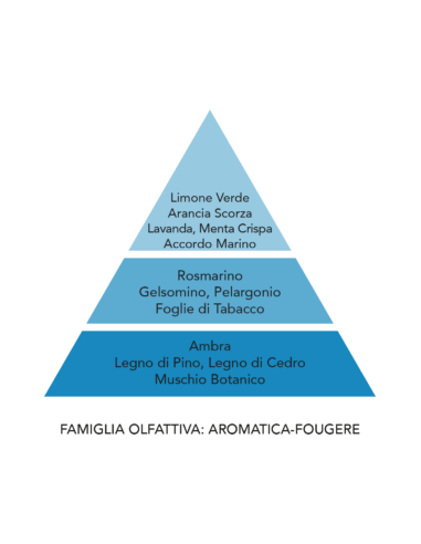 Ricarica profumatore per auto Fortunato Aqua Mami Milano 