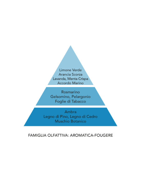Ricarica profumatore per auto Fortunato Aqua Mami Milano 