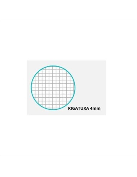 Quaderno BASTARDI DENTRO A4 Maxi 4mm 🧠 | 104 80 Fogli a Quadretti con