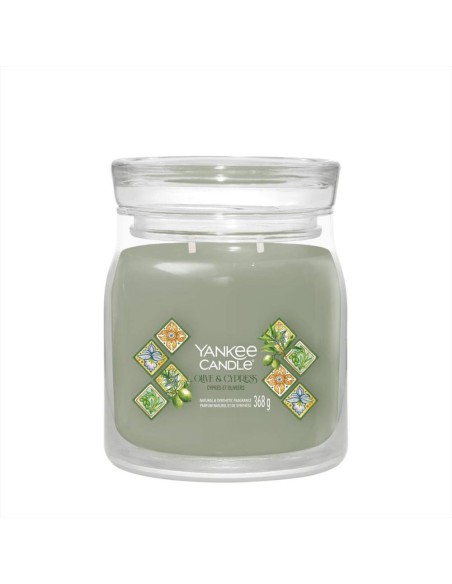 OLIVE E CIPRESS Giara media 368gr Yankee Candle Signature