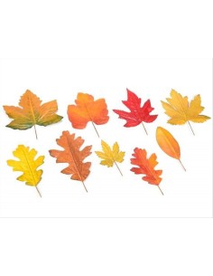 Confezione 12 Foglie Autunnali Modellabili – Decorazioni Stagionali