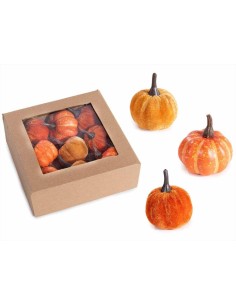 Zucchetta Decorativa H5cm