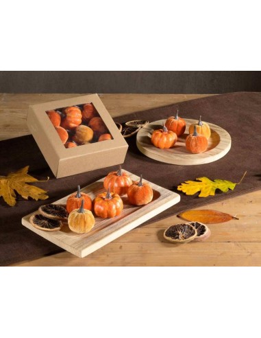 Zucchetta Decorativa H5cm 