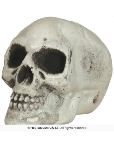 Confezione 6 Teschi PVC 8cm - Decorazioni Horror Divertenti