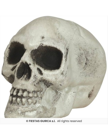 Confezione 6 Teschi PVC 8cm - Decorazioni Horror Divertenti