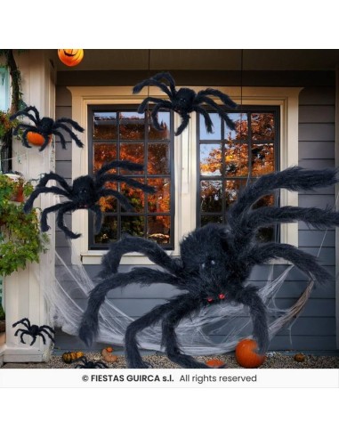 Ragno Nero Gigante 125cm - Peloso e Spaventoso