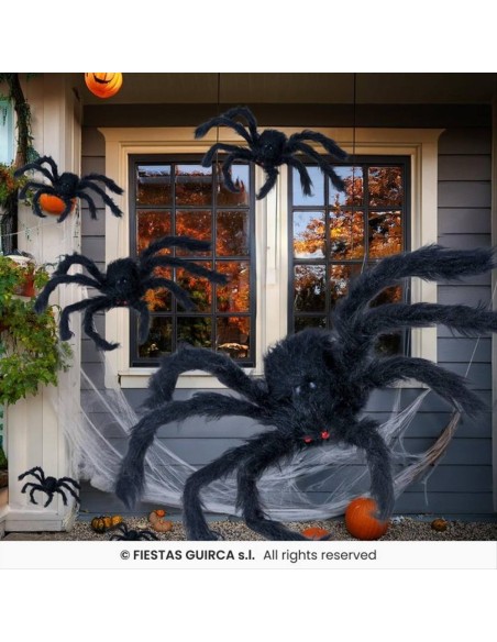 Ragno Nero Gigante 125cm - Peloso e Spaventoso