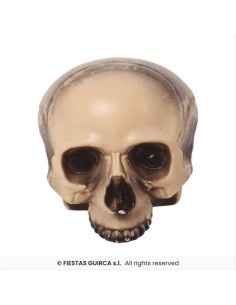 Teschio senza mento 20cm - Decorazione Horror Halloween 💀👻