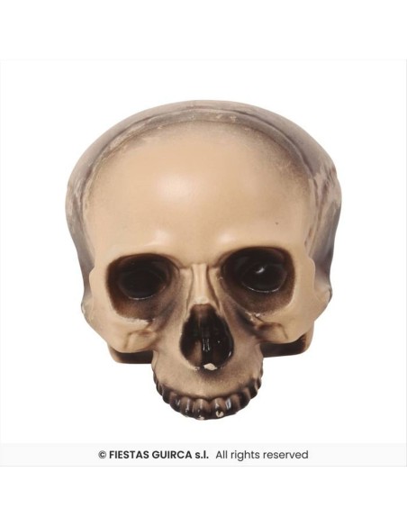 Teschio senza mento 20cm - Decorazione Horror Halloween 💀👻