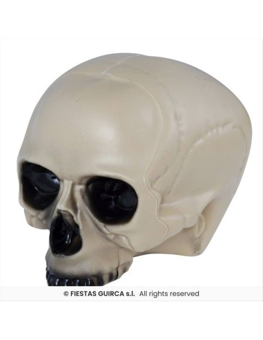 Teschio senza mento 20cm - Decorazione Horror Halloween 💀👻