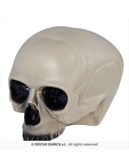 Teschio senza mento 20cm - Decorazione Horror Halloween 💀👻