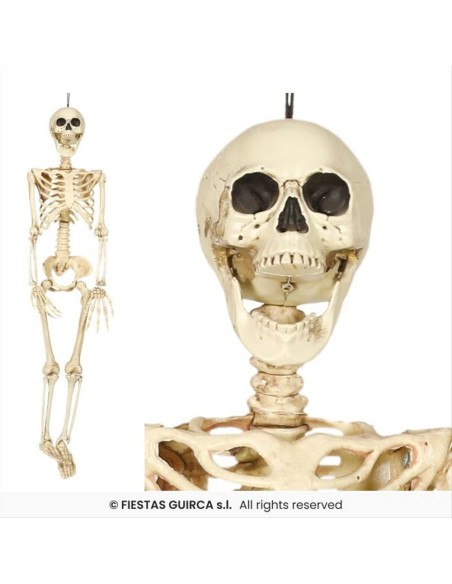 Scheletro in PVC H90cm – Decorazione Horror Halloween 💀👻