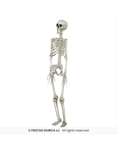 Scheletro in PVC H90cm – Decorazione Horror Halloween 💀👻
