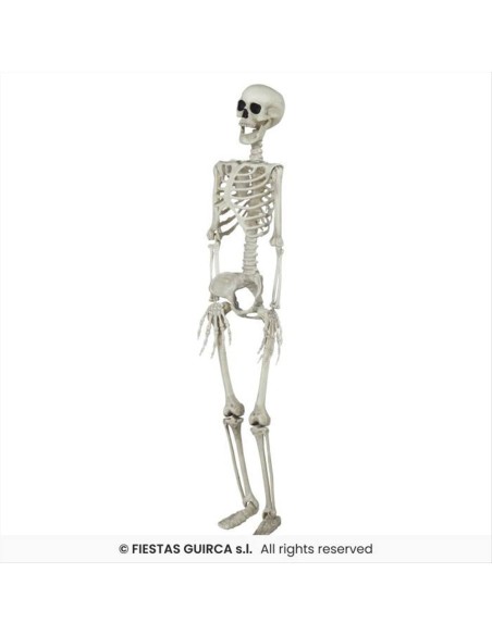 Scheletro in PVC H90cm – Decorazione Horror Halloween 💀👻