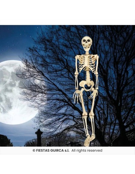 Scheletro in PVC H90cm – Decorazione Horror Halloween 💀👻