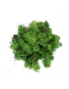 Muschio Lichene Verde Scuro 500g My Village™ MYD51 - Decorazioni per V
