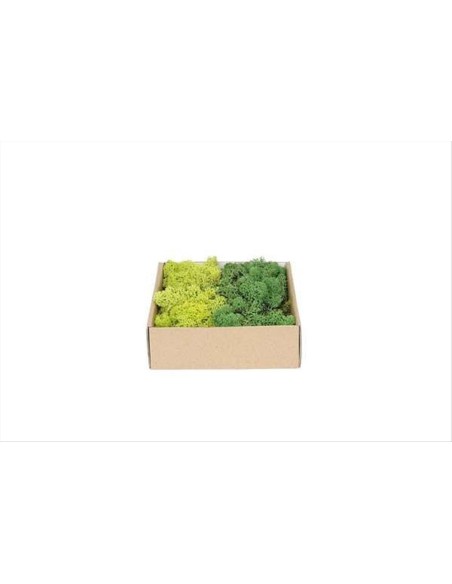 Muschio Lichene Verde Scuro Verde 250gr MyVillage