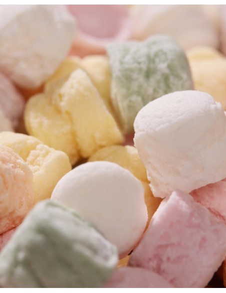 Pastiglie Leone Lattina C’era una Volta 30g – 6 Modelli, 2 Gusti